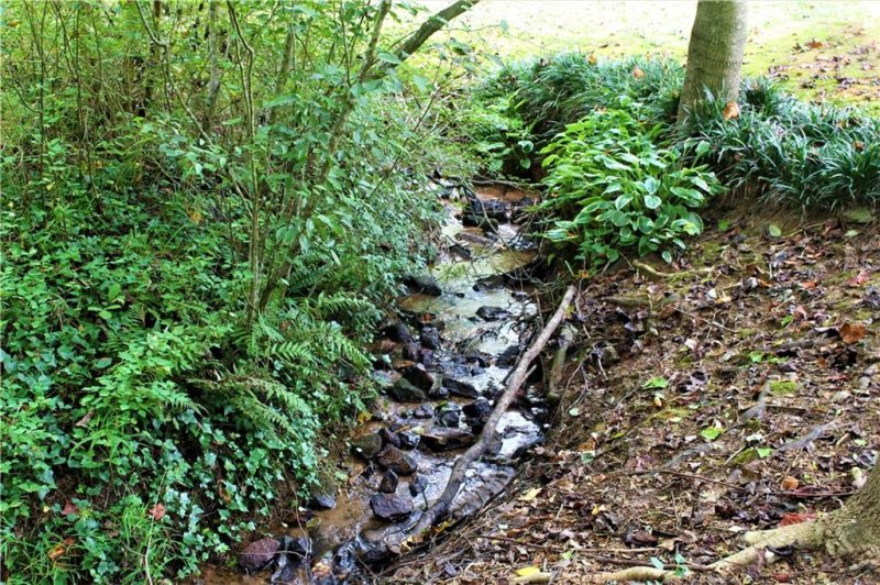 Property image 3 at 5035 Forest Drive, Seneca, SC 29672