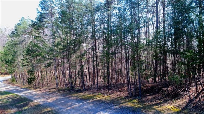 Property image 4 at 00 Sage Brush Court, Six Mile, SC 29682