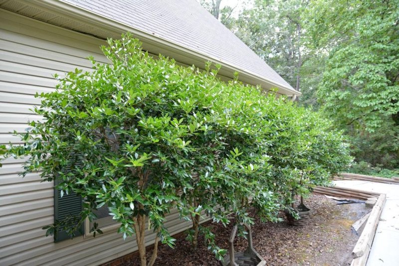 Property image 5 at 208 Ridge Road, Westminster, SC 29693