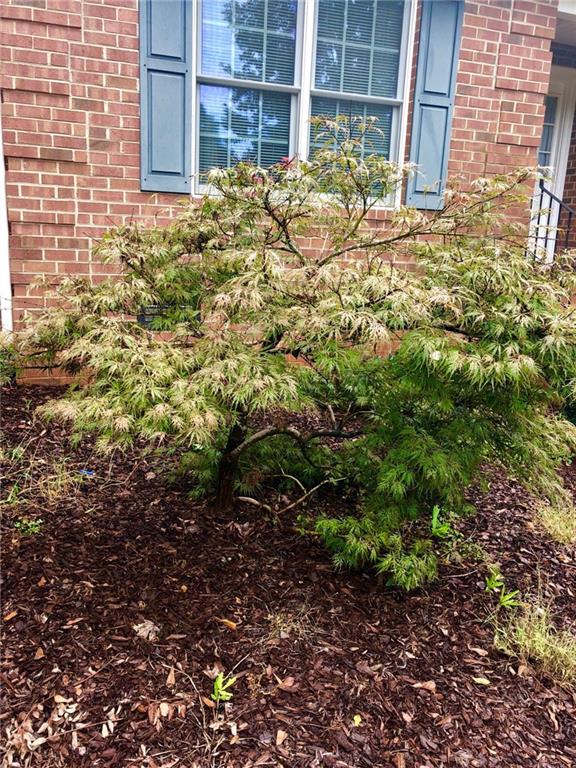 Property image 4 at 130 Holly Ridge, Anderson, SC 29621