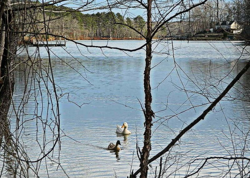 Property image 3 at 11 Southview Drive, Iva, SC 29655