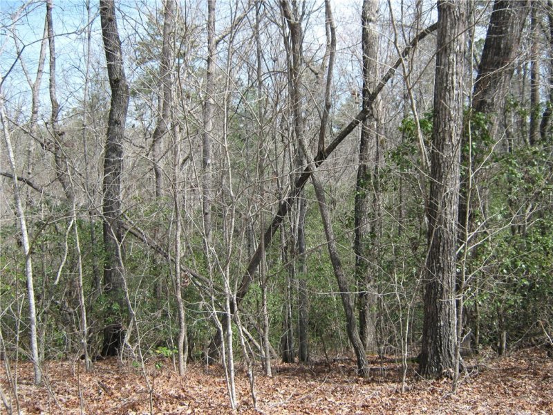 Property image 2 at LOT 2 OSHEAL Drive, Tamassee, SC 29686