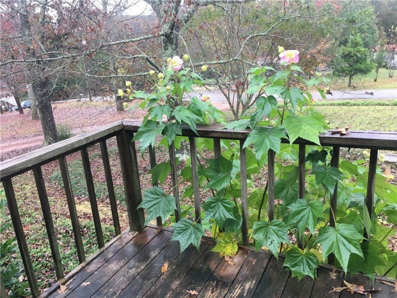 Property image 3 at 474 Pond Fork Road, Westminster, SC 29693