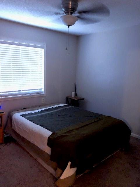 Property image 5 at 150 Ligon Street, Clemson, SC 29631