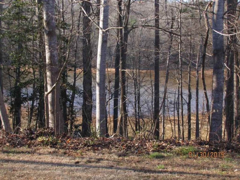 Property image 4 at 15088 Beacon Ridge Drive, Seneca, SC 29678