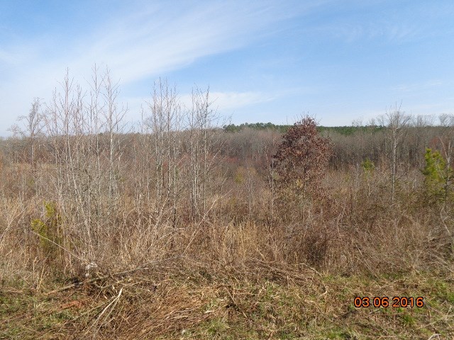 Property image 2 at 00 Vandale Place, Anderson, SC 29626