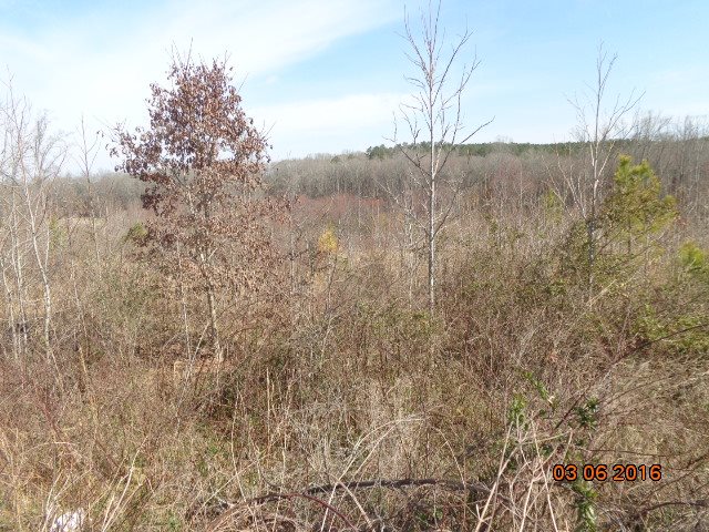 Property image 3 at 00 Vandale Place, Anderson, SC 29626