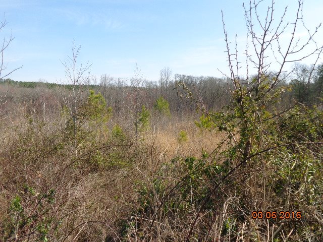 Property image 4 at 00 Vandale Place, Anderson, SC 29626