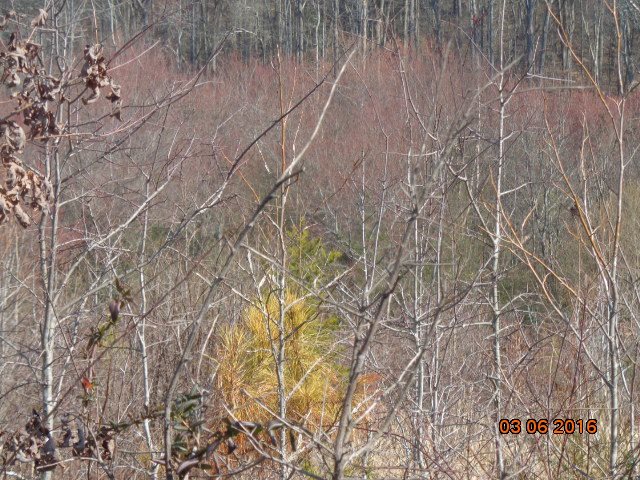 Property image 5 at 00 Vandale Place, Anderson, SC 29626