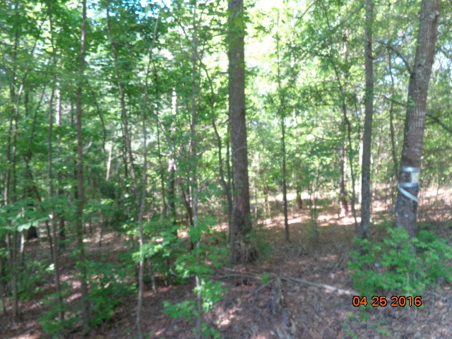 Property image 2 at 1211 Loualgia, Anderson, SC 29626