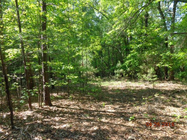 Property image 4 at 1211 Loualgia, Anderson, SC 29626