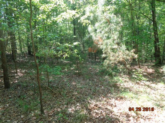 Property image 5 at 1211 Loualgia, Anderson, SC 29626