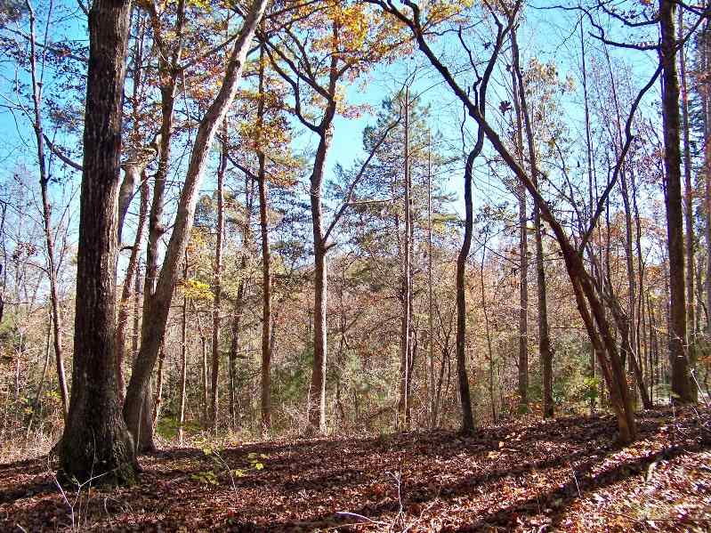 Property image 3 at 211 Serenity Drive, Pickens, SC 29671