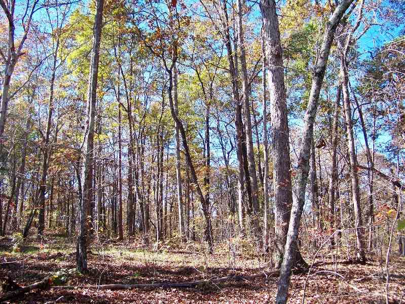 Property image 5 at 211 Serenity Drive, Pickens, SC 29671