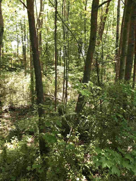 Lot 18 Brookvale Drive