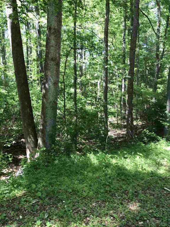 Lot 16 and Lot 17 Saluda Road