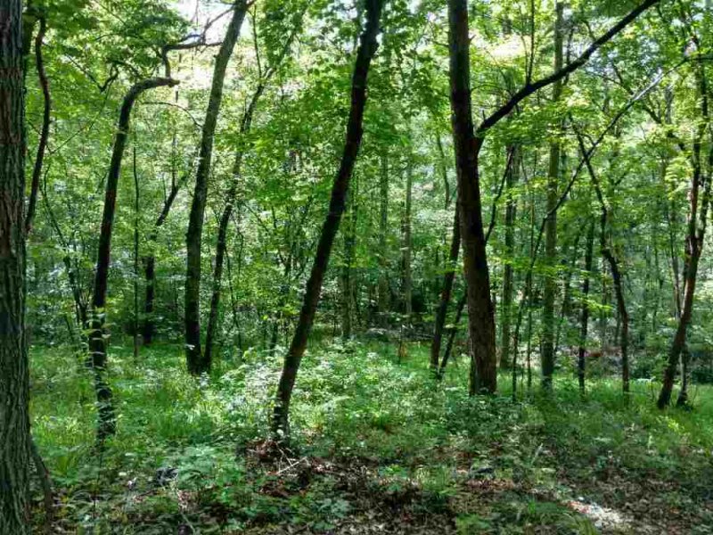 Property image 3 at 144 Julie Way, Pickens, SC 29671