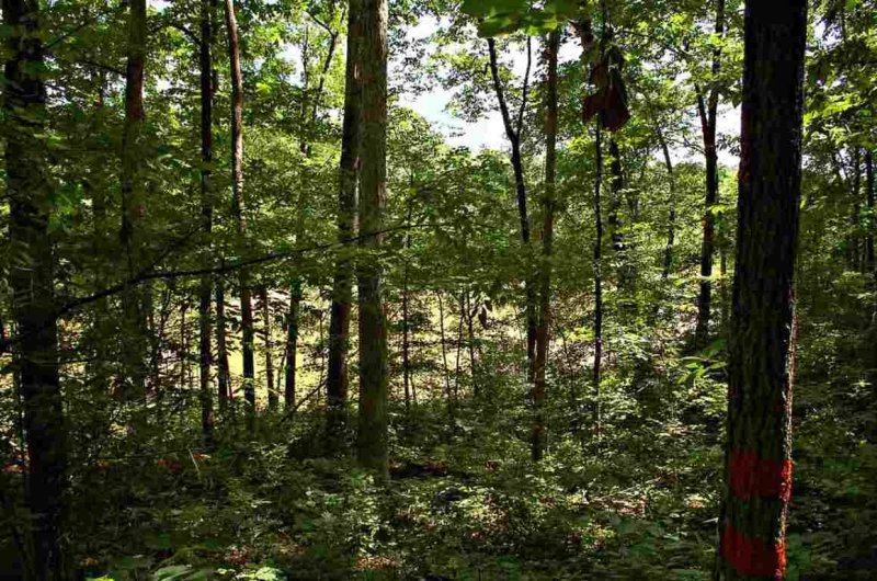 Property image 2 at Lot 21 Deerfield Lane, Seneca, SC 29678