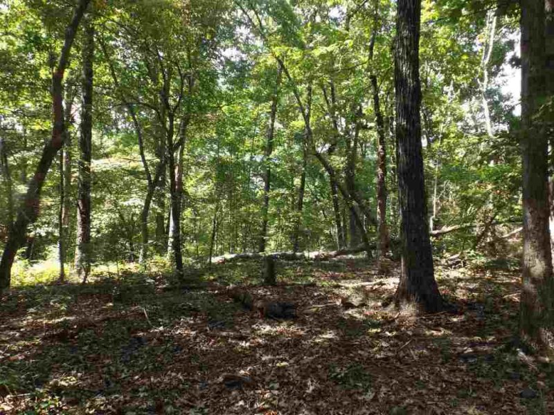 Property image 3 at 200 Serenity Drive, Pickens, SC 29671