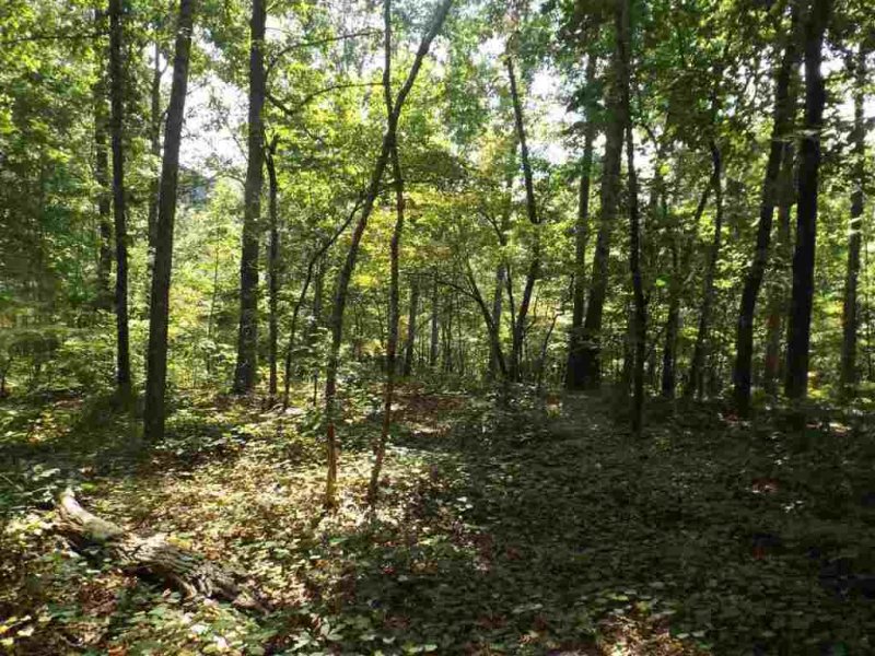 Property image 4 at 200 Serenity Drive, Pickens, SC 29671