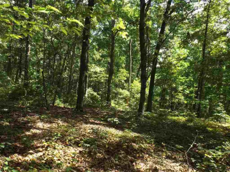 Property image 5 at 200 Serenity Drive, Pickens, SC 29671