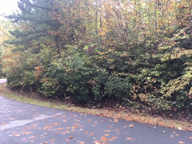 Property image 2 at 905 Bay Ridge Drive, Salem, SC 29676