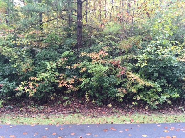 Property image 3 at 905 Bay Ridge Drive, Salem, SC 29676