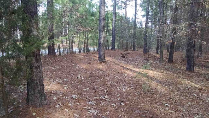 Property image 2 at 11 Bridge Pointe Drive, Iva, SC 29655