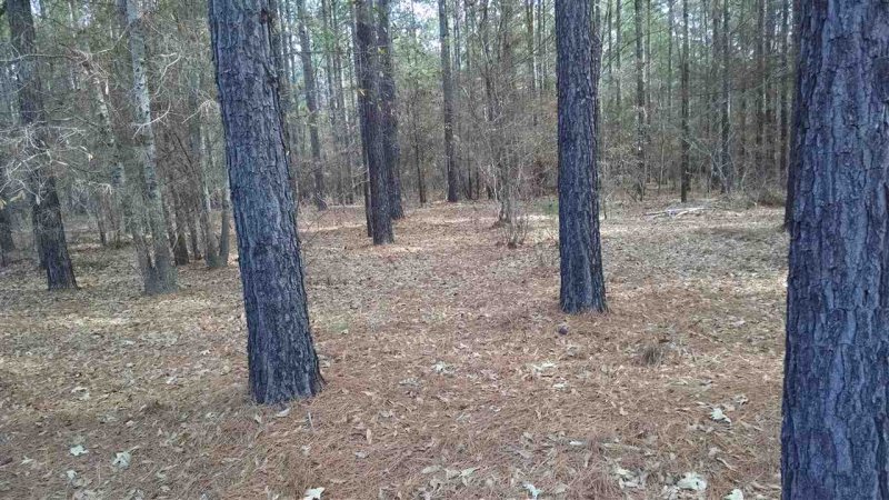 Property image 3 at 11 Bridge Pointe Drive, Iva, SC 29655