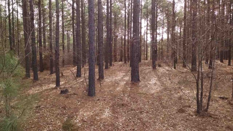 Property image 4 at 11 Bridge Pointe Drive, Iva, SC 29655