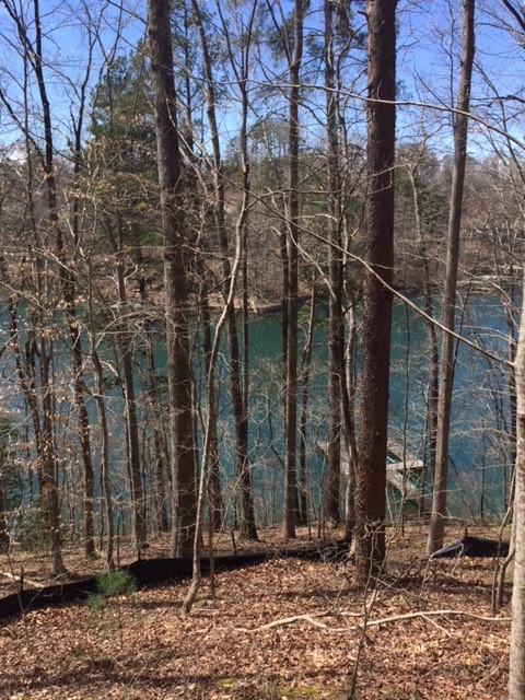 Property image 2 at 131 Willow Walk, Sunset, SC 29685