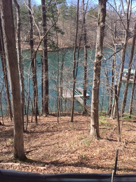 Property image 3 at 131 Willow Walk, Sunset, SC 29685