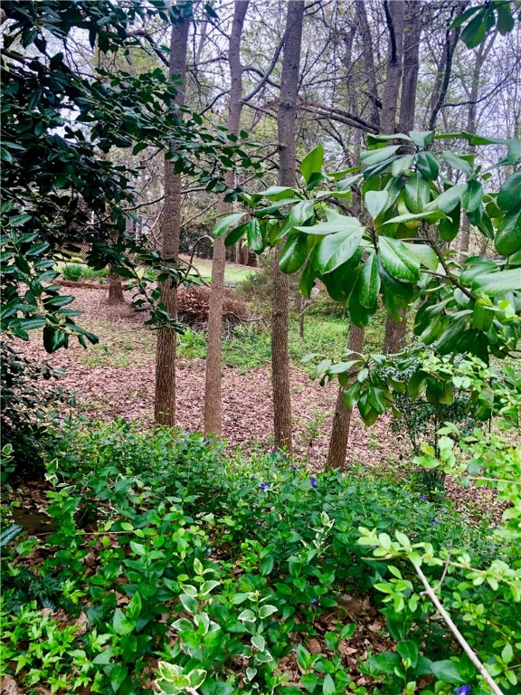 Property image 5 at 107 Stonewall Court, Easley, SC 29642