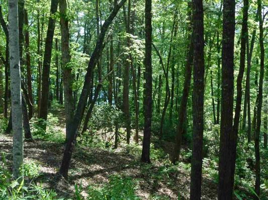 Property image 2 at Lot 14 Turtlehead Drive, Salem, SC 29676