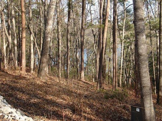 Property image 4 at Lot 14 Turtlehead Drive, Salem, SC 29676