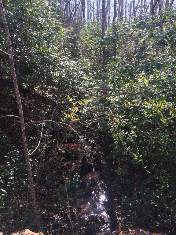 Property image 3 at Lot 25 Talons Ridge Road, Seneca, SC 29672