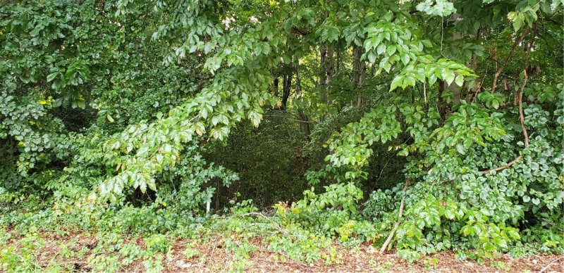 Property image 5 at 220 Joes Court, Easley, SC 29642