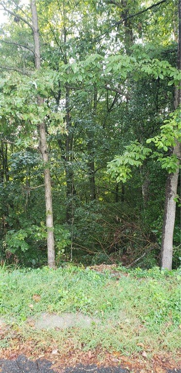 Property image 2 at 216 Joes Court, Easley, SC 29642