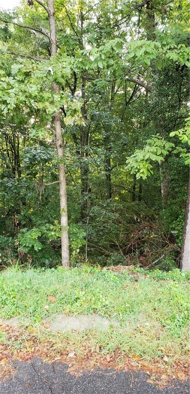 Property image 3 at 216 Joes Court, Easley, SC 29642