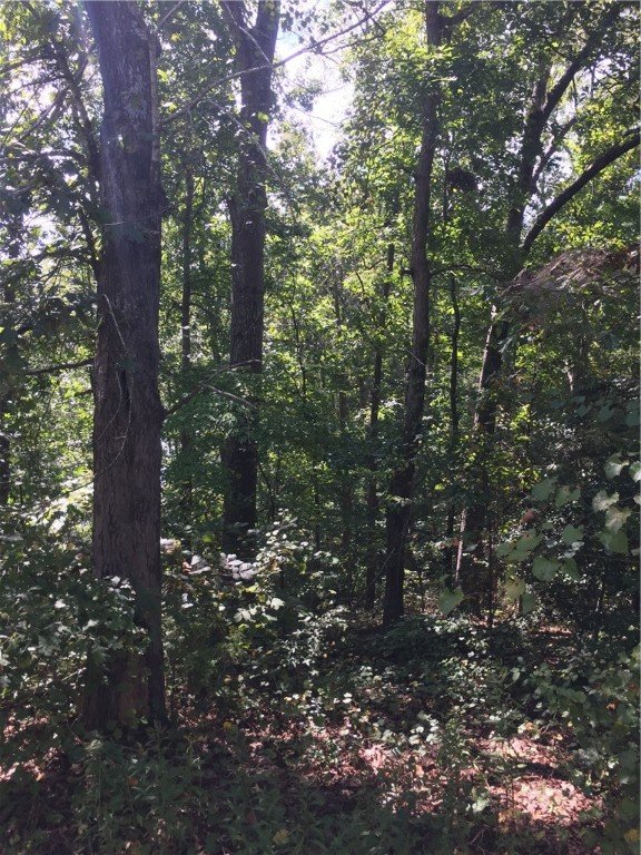 Property image 2 at 209 Sandy Point Drive, Anderson, SC 29625