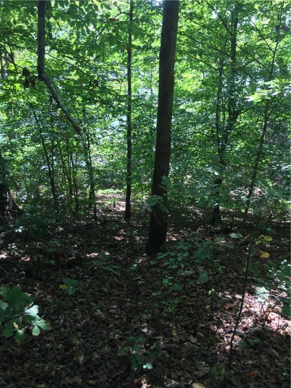 Property image 4 at 209 Sandy Point Drive, Anderson, SC 29625