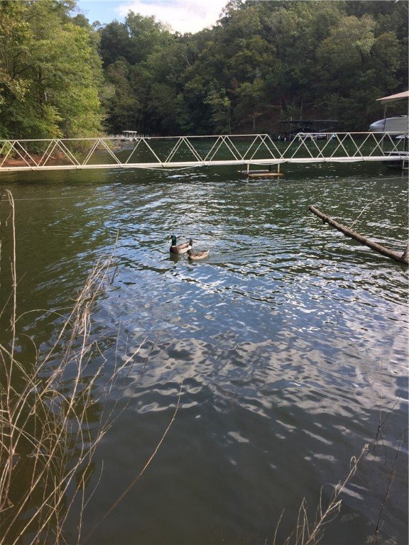 Property image 5 at 209 Sandy Point Drive, Anderson, SC 29625