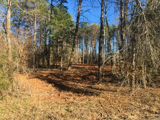 Property image 2 at 224 Fond Du Lac Drive, Central, SC 29630