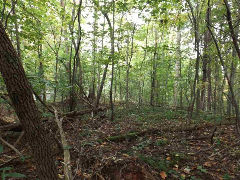 Property image 3 at 237 Broken Bow Run, Pickens, SC 29671