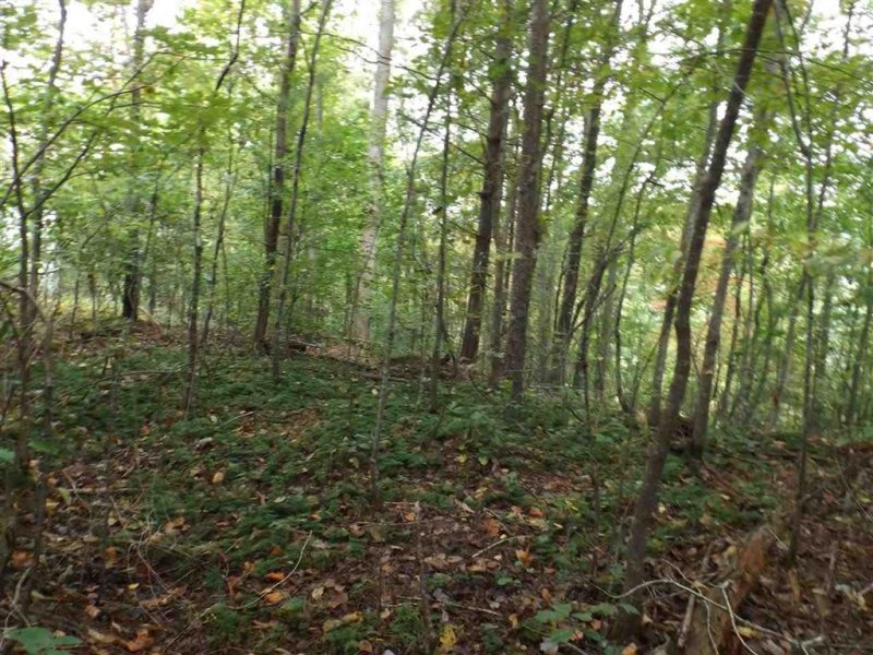 Property image 4 at 237 Broken Bow Run, Pickens, SC 29671