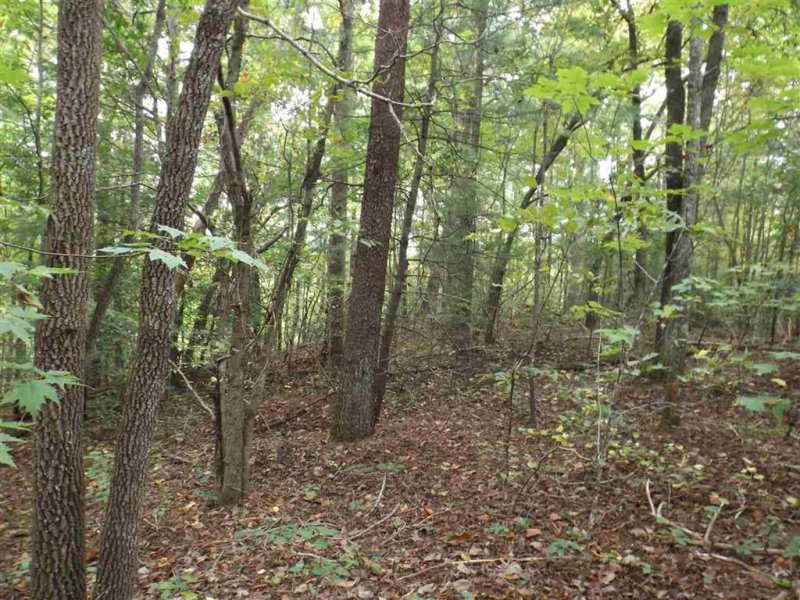 Property image 5 at 237 Broken Bow Run, Pickens, SC 29671