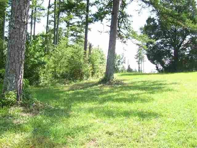 102 White Willow Court