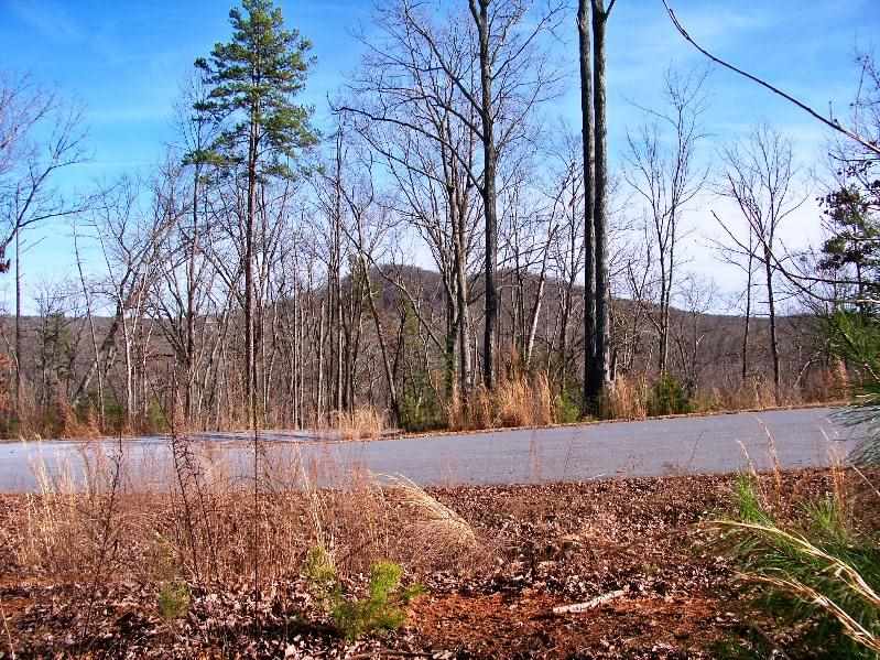 Property image 3 at 110 Cliffside Trail, Pickens, SC 29671