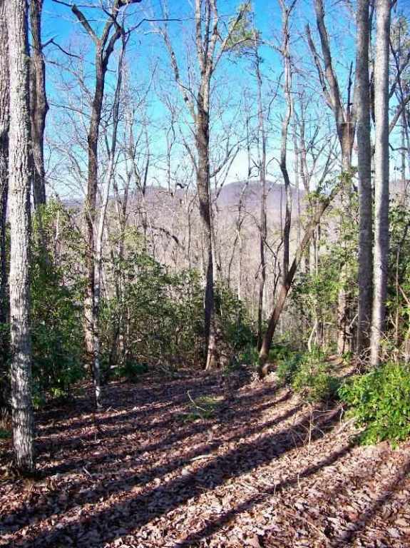 Property image 5 at 110 Cliffside Trail, Pickens, SC 29671