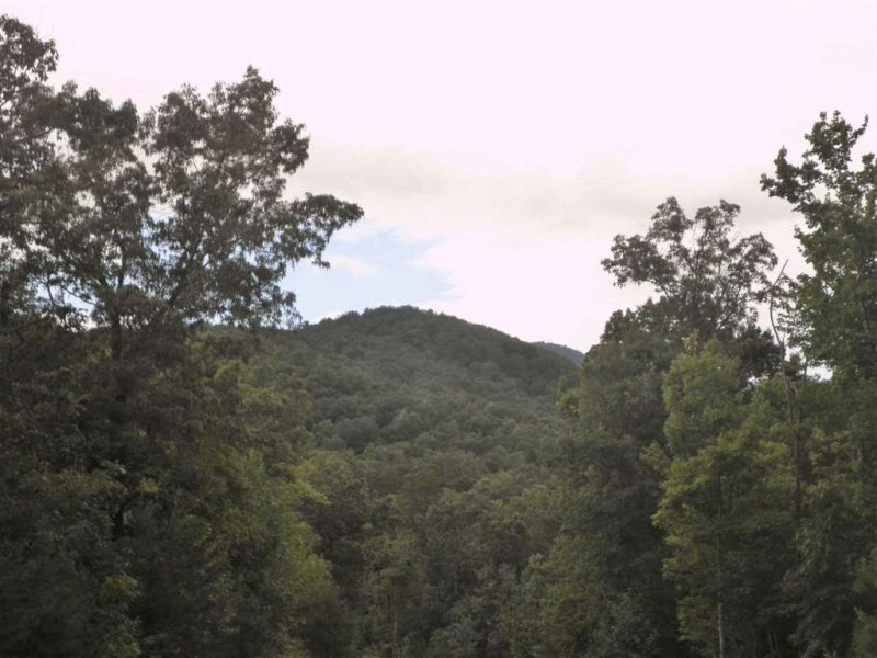 Property image 4 at 342 Woodmere Drive, Pickens, SC 29671